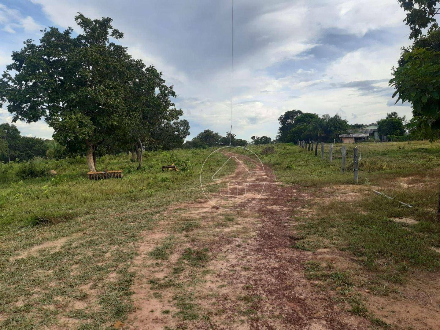 Fazenda à venda, 726000M2 - Foto 5