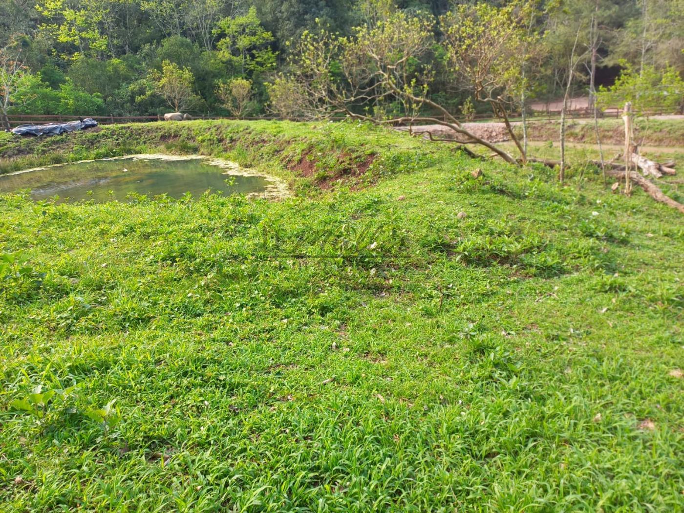 Fazenda à venda - Foto 8