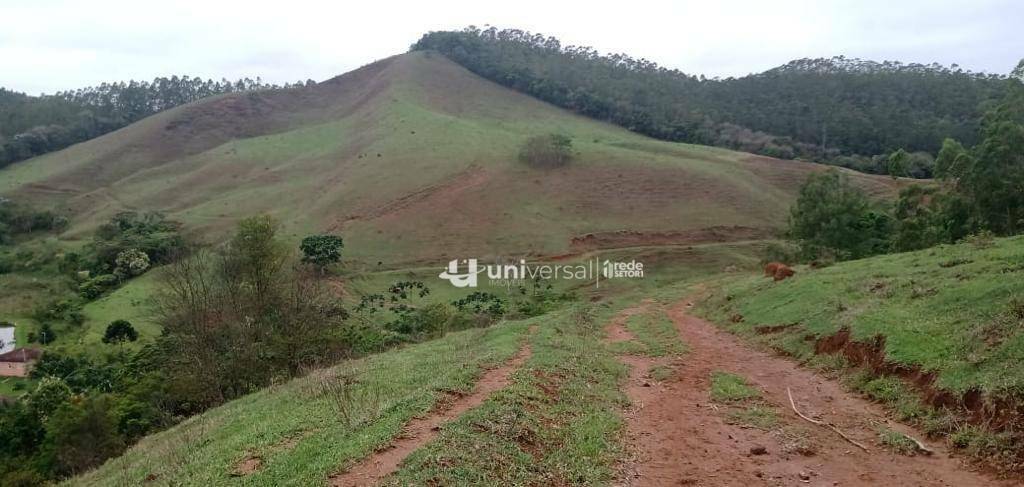 Fazenda à venda com 3 quartos, 1110000M2 - Foto 65