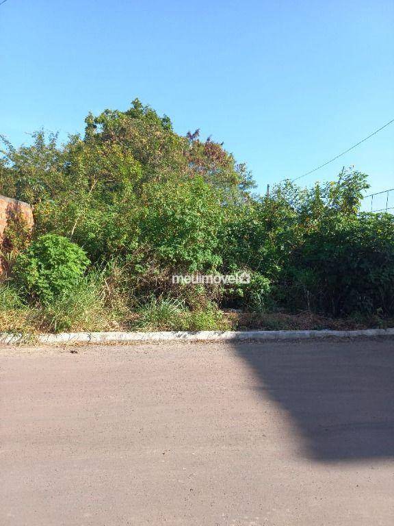 Terreno, 1260 m² - Foto 4