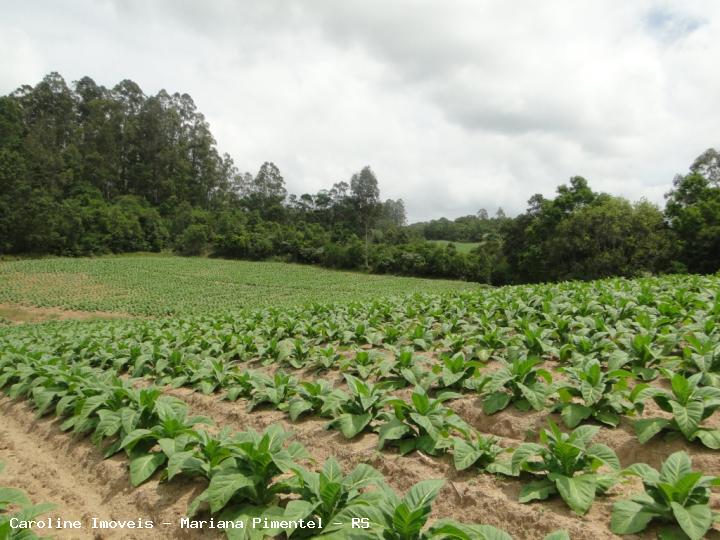 Sítio, 9 m² - Foto 19