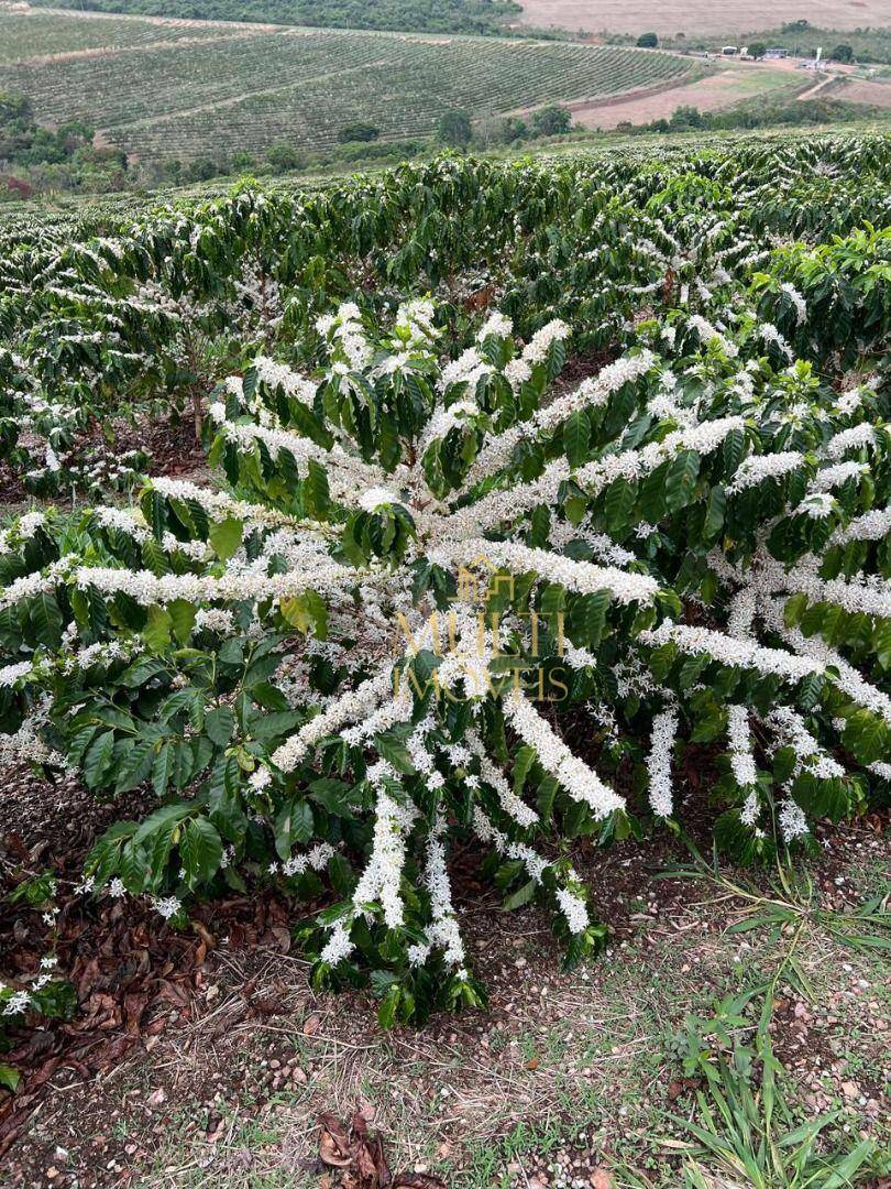 Fazenda à venda, 3200000M2 - Foto 3