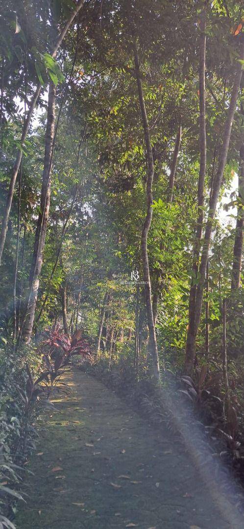 Sítio, 4 m² - Foto 4