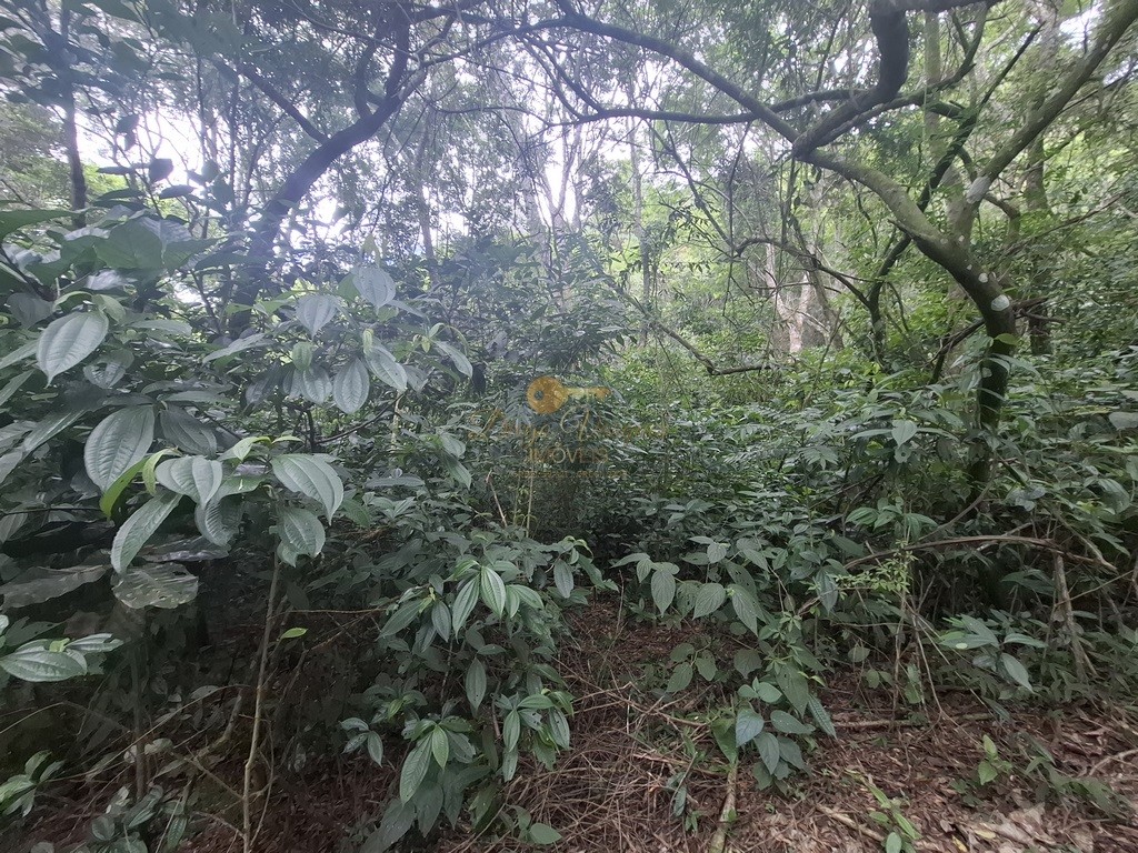 Terreno à venda, 216036m² - Foto 18