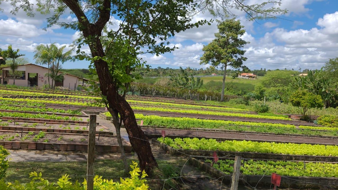 Terreno à venda, 750m² - Foto 20