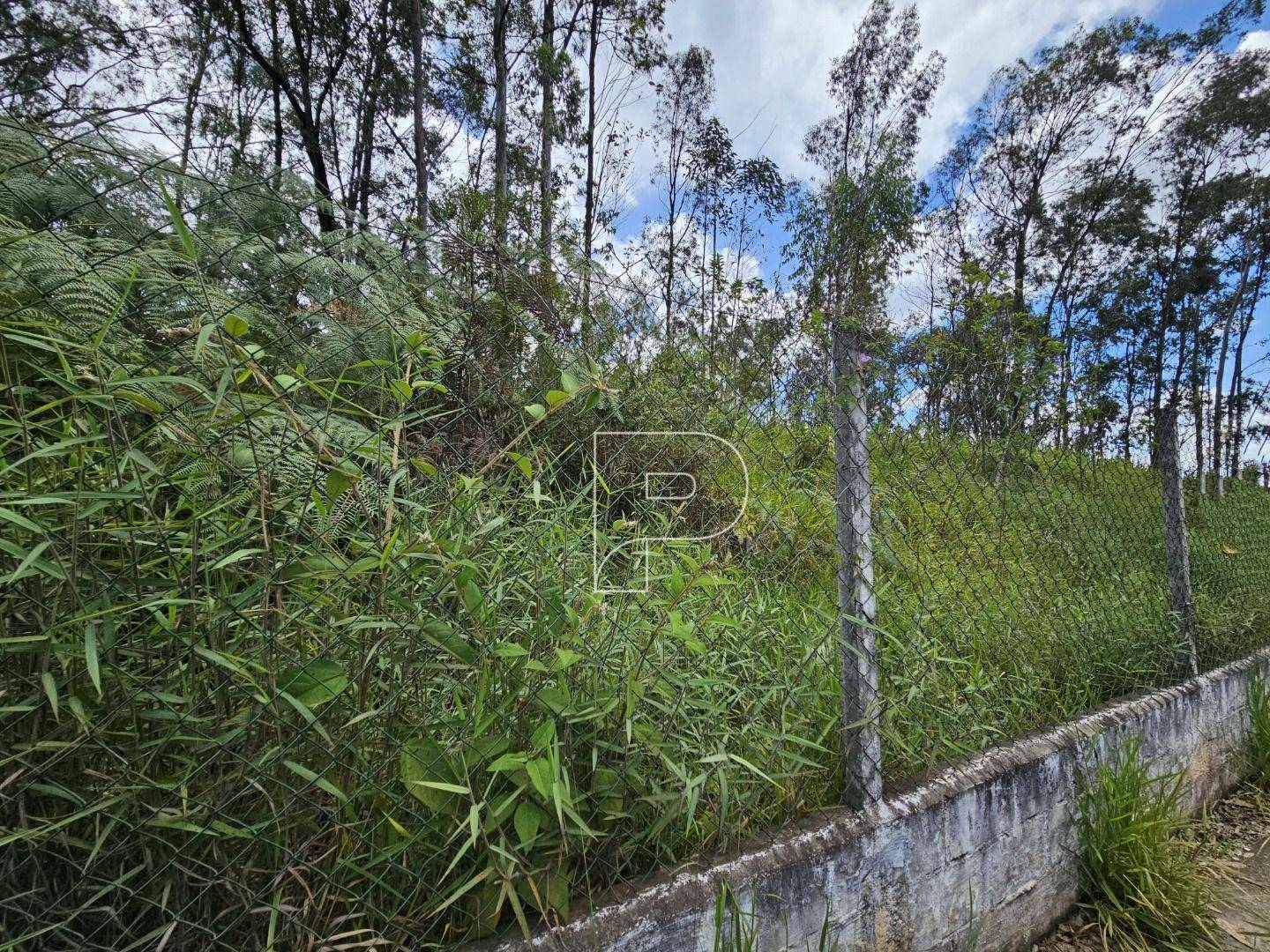 Terreno à venda, 3800M2 - Foto 10