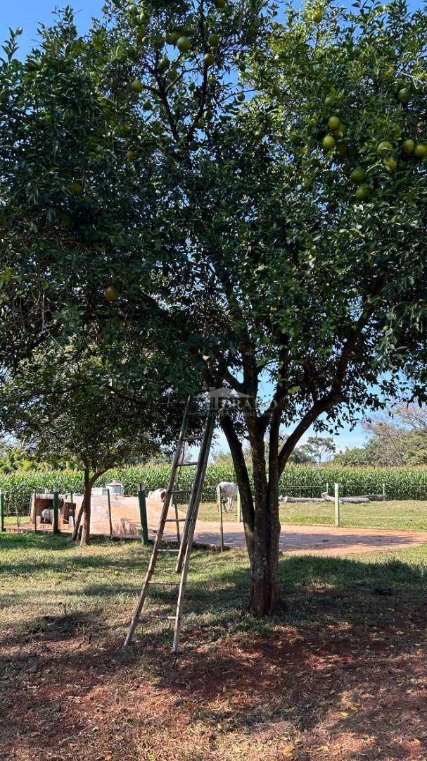 Sítio à venda com 6 quartos, 1100m² - Foto 74