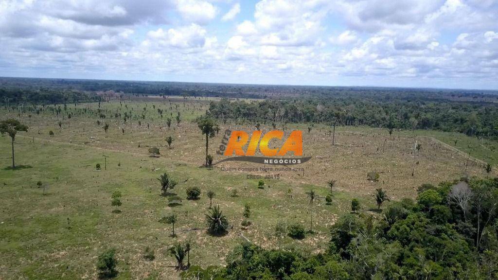 Fazenda à venda com 4 quartos, 1400000M2 - Foto 12