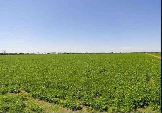 Fazenda à venda, 118290000M2 - Foto 17