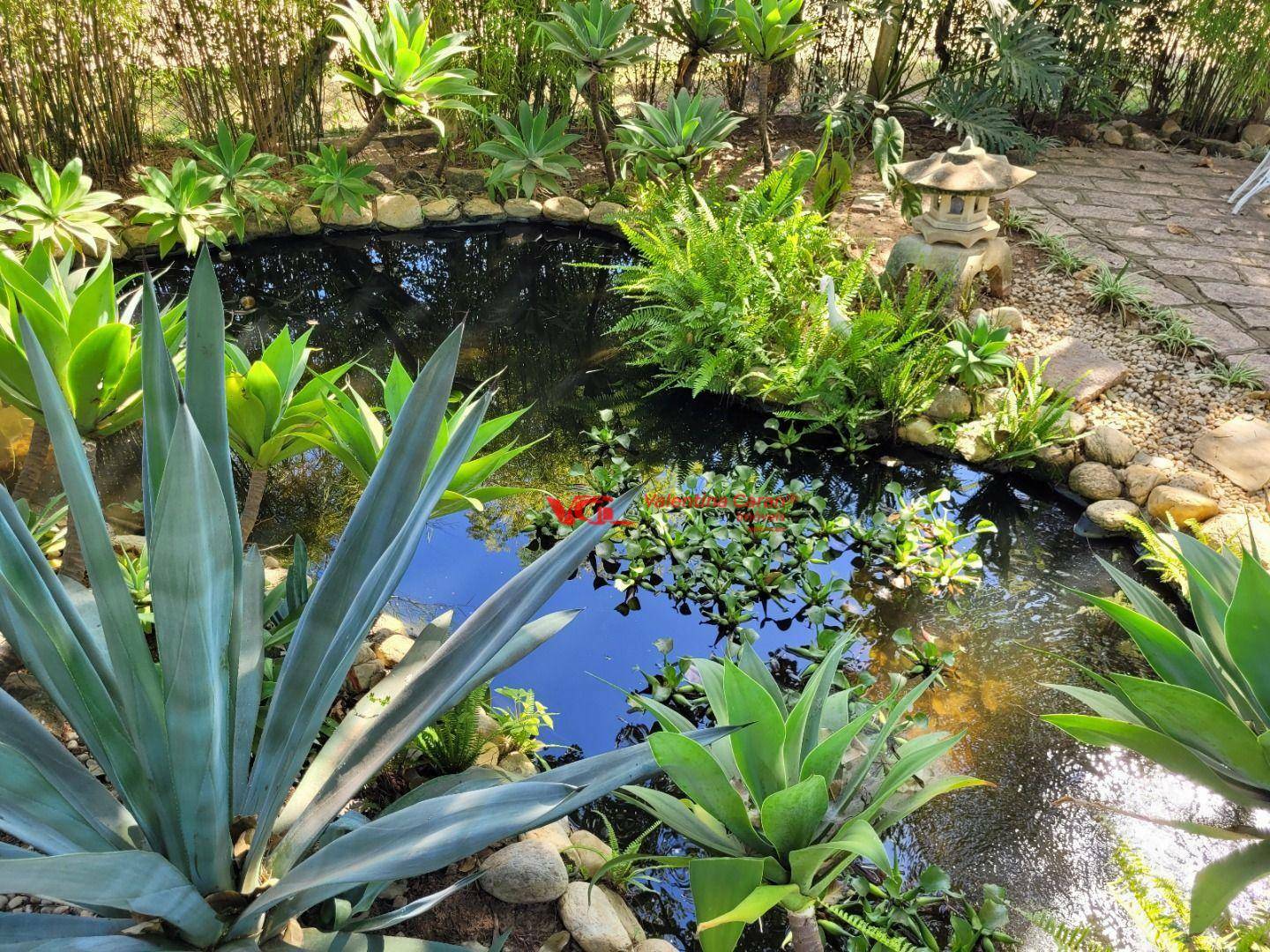 Chácara à venda com 3 quartos, 600m² - Foto 8