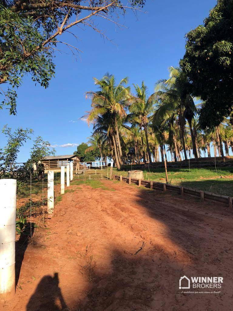 Chácara, 2 quartos, 2 hectares - Foto 3