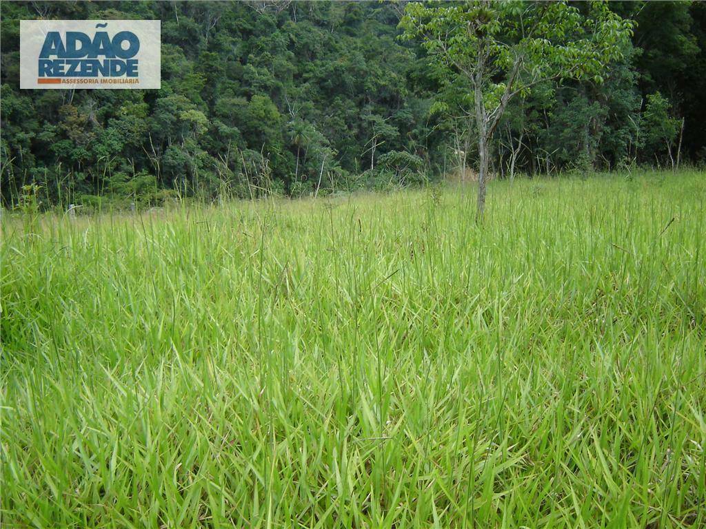 Fazenda à venda com 4 quartos, 1150000M2 - Foto 32