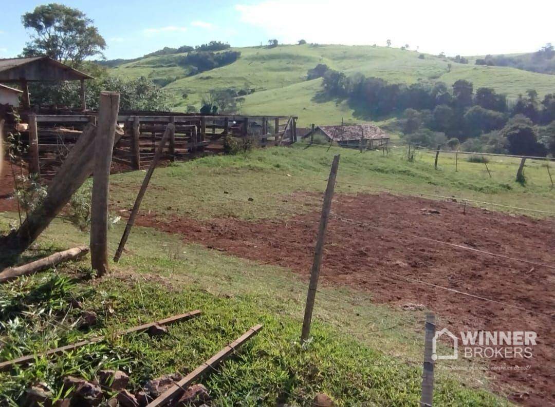 Fazenda à venda com 2 quartos, 2299000M2 - Foto 9