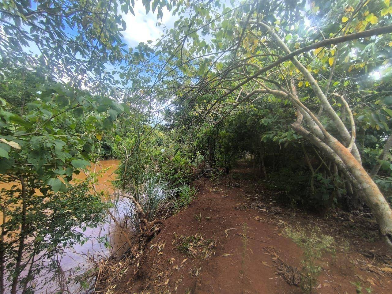 Chácara, 3375 m² - Foto 4