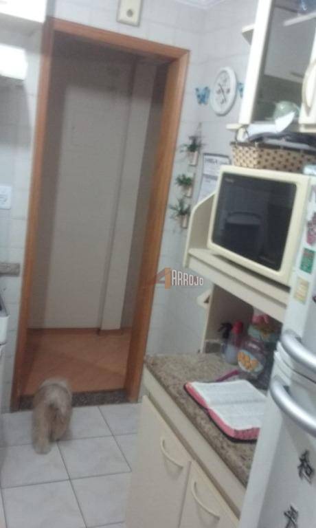 Apartamento à venda com 2 quartos, 53m² - Foto 30