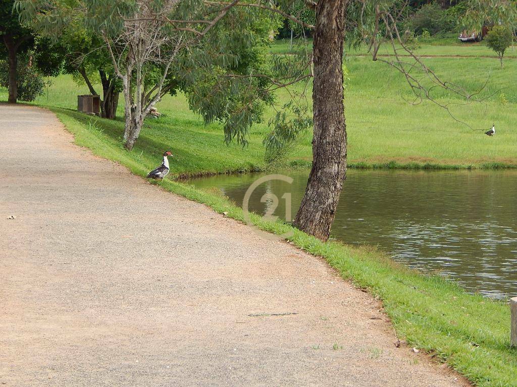 Casa de Condomínio à venda com 3 quartos, 600m² - Foto 31