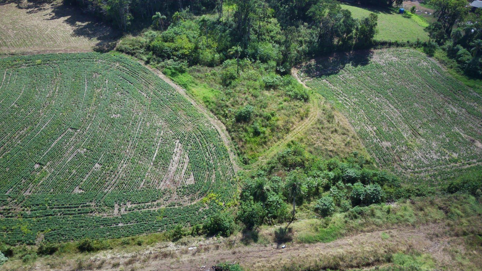 Terreno à venda, 3500m² - Foto 1