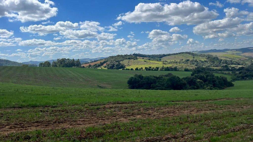 Fazenda, 339 hectares - Foto 13