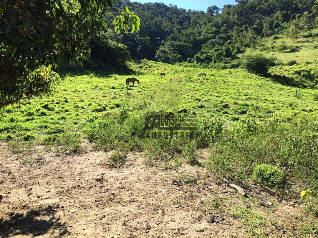 Fazenda à venda, 2420000M2 - Foto 28