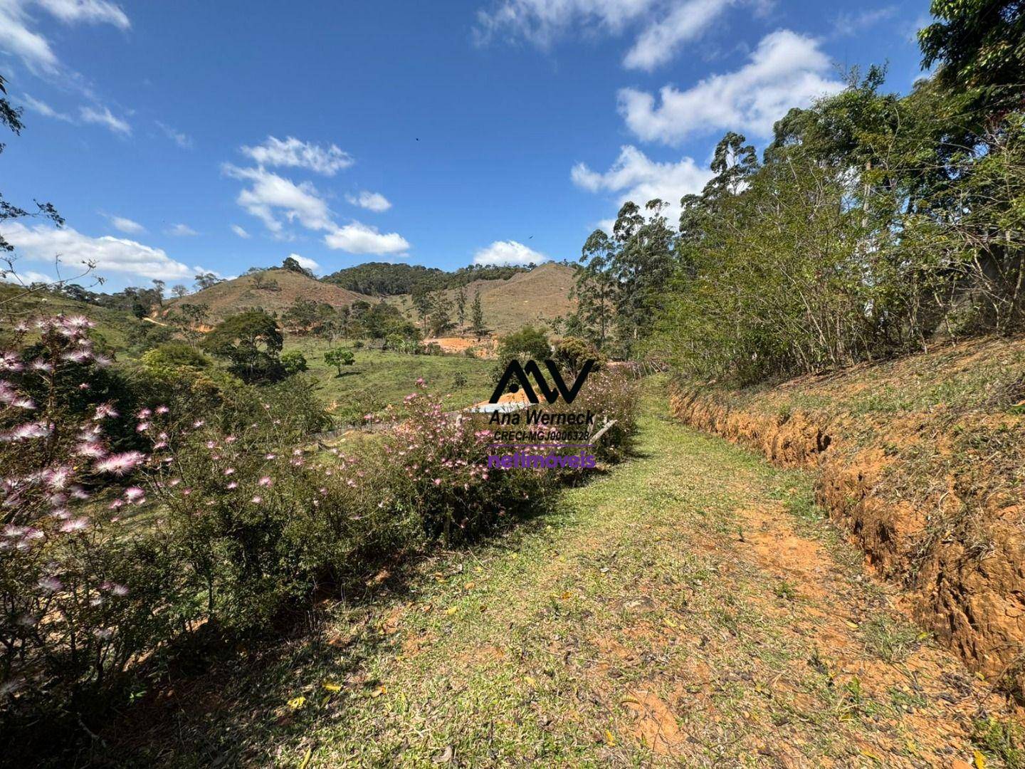 Terreno, 3800 m² - Foto 9