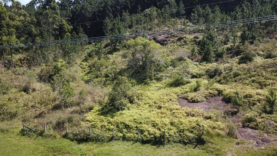 Terreno à venda, 6010 - Foto 22