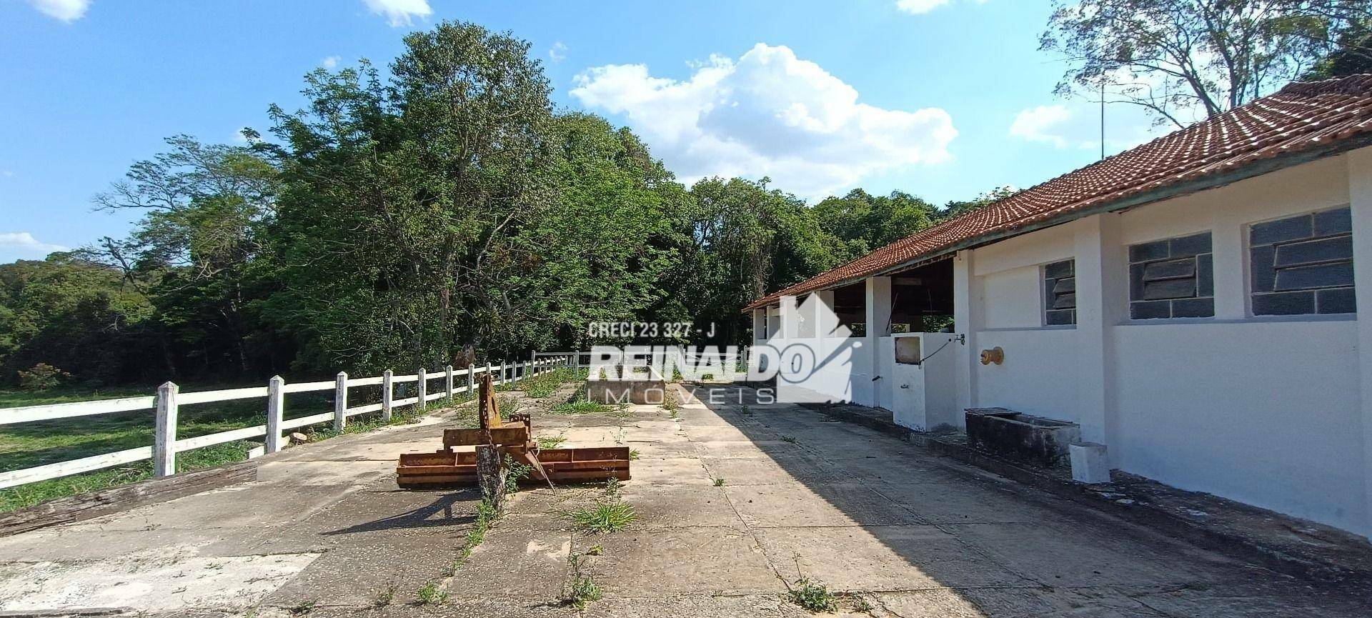 Haras e Área Rural Padrão à venda com 16 quartos, 2500m² - Foto 165