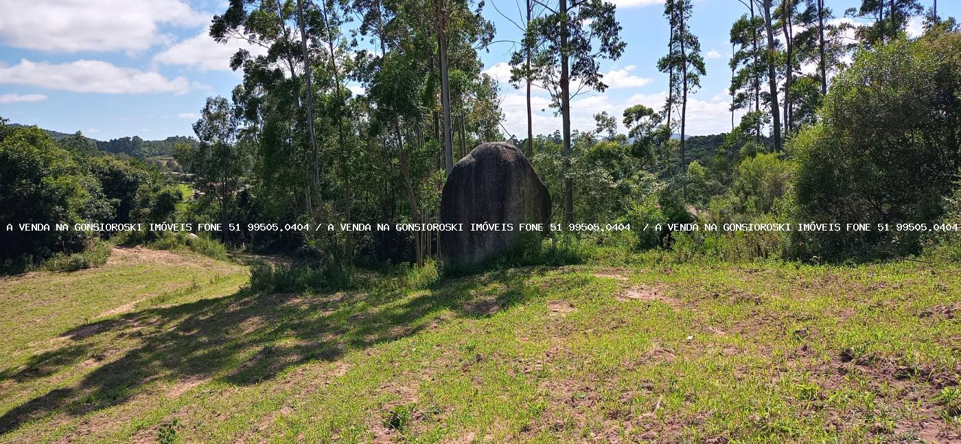 Chácara à venda com 2 quartos, 600000m² - Foto 40
