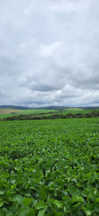 Fazenda à venda, 330m² - Foto 10