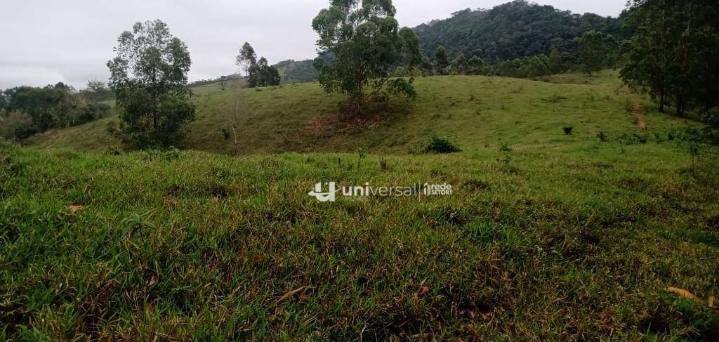 Fazenda à venda com 3 quartos, 1110000M2 - Foto 61