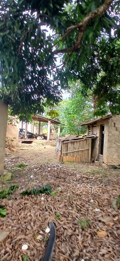 Sítio à venda com 3 quartos, 67000m² - Foto 41