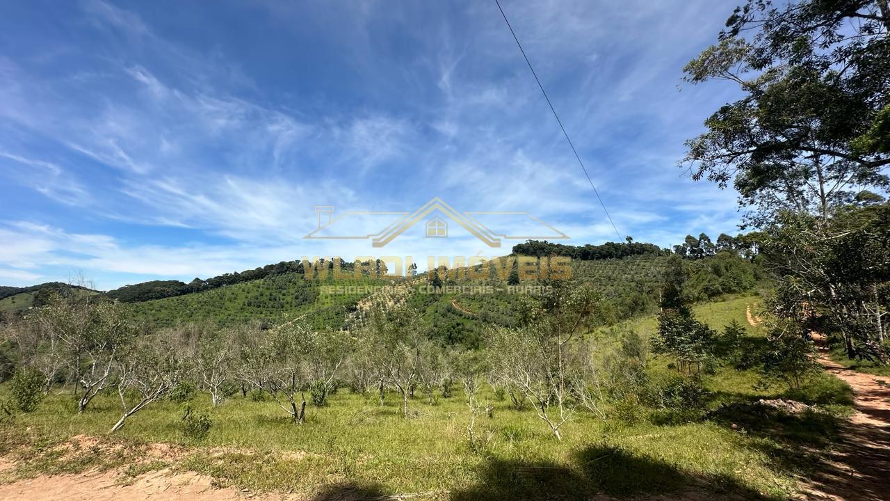 Fazenda à venda, 190000m² - Foto 7