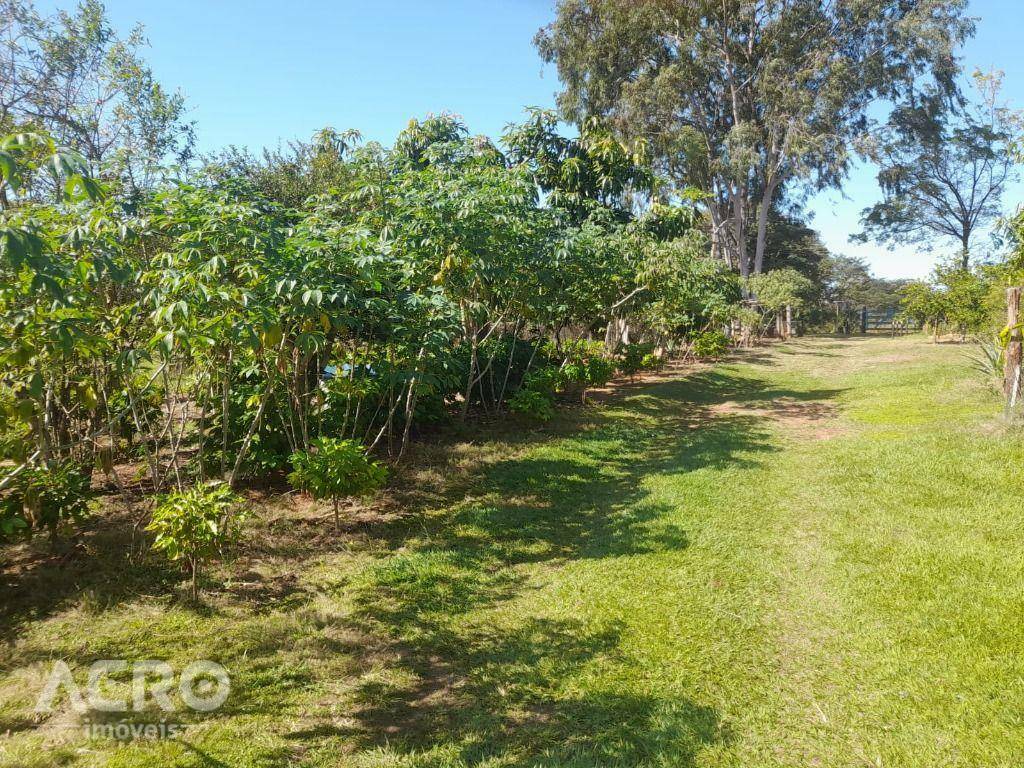 Chácara à venda com 4 quartos, 300m² - Foto 7