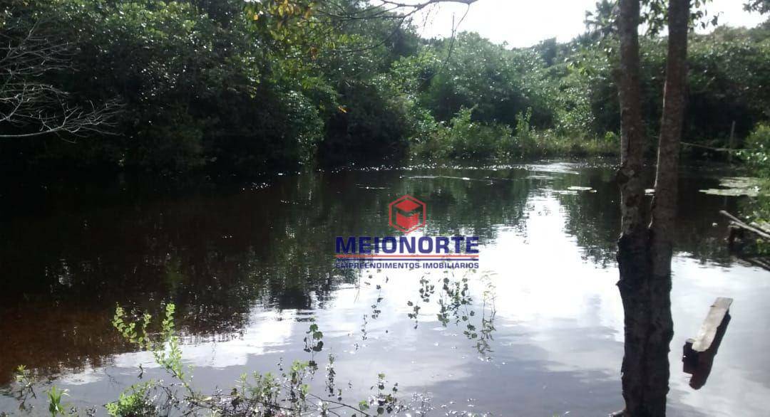 Fazenda à venda com 1 quarto, 2400000M2 - Foto 5