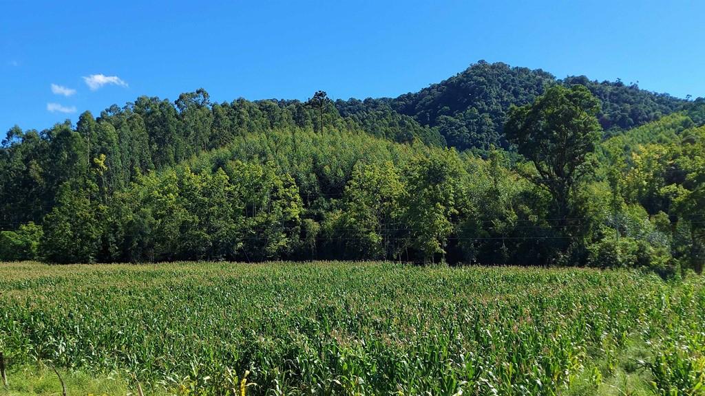 Fazenda à venda, 100000m² - Foto 23