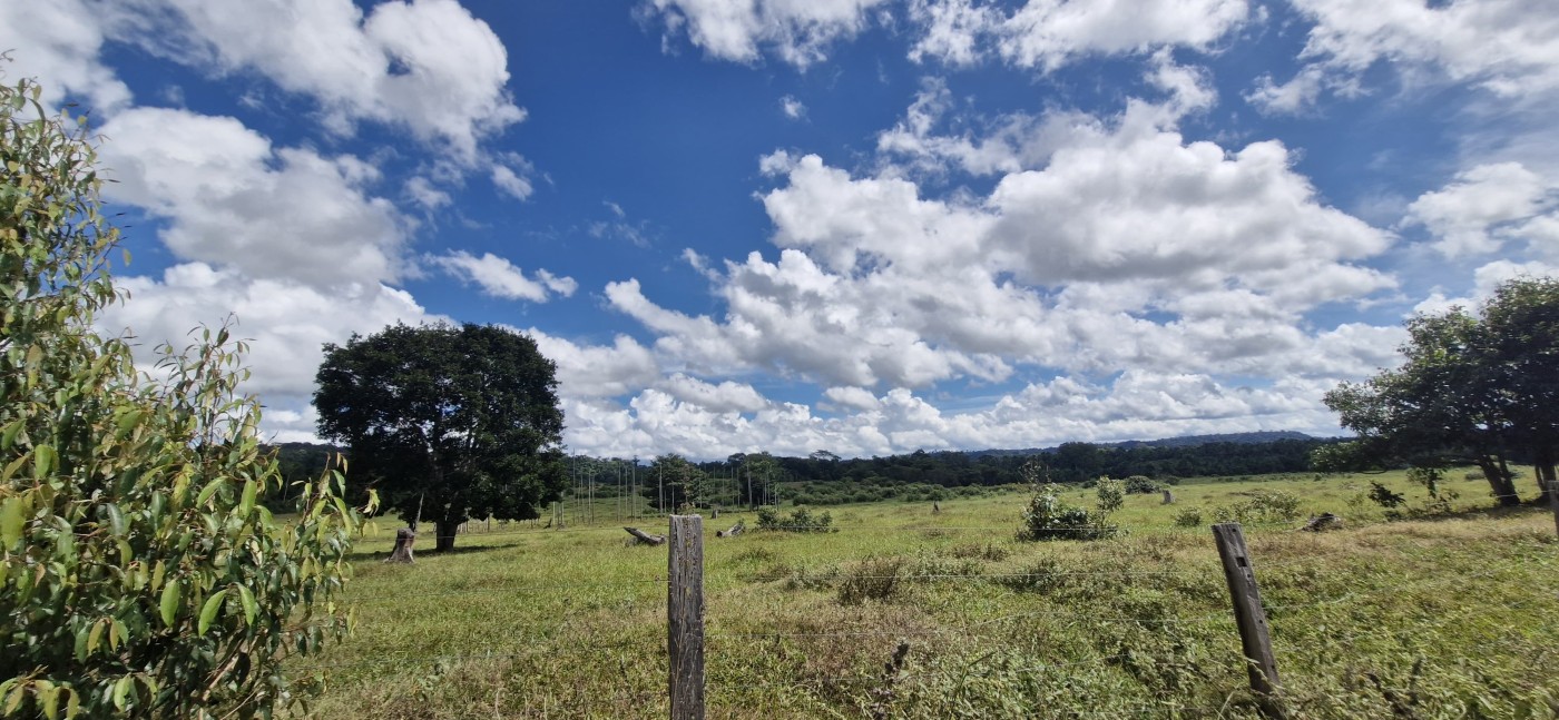 Chácara à venda, 500000m² - Foto 4