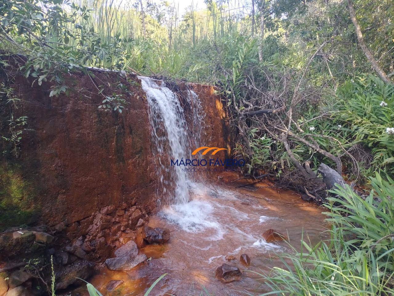 Fazenda, 121 hectares - Foto 1