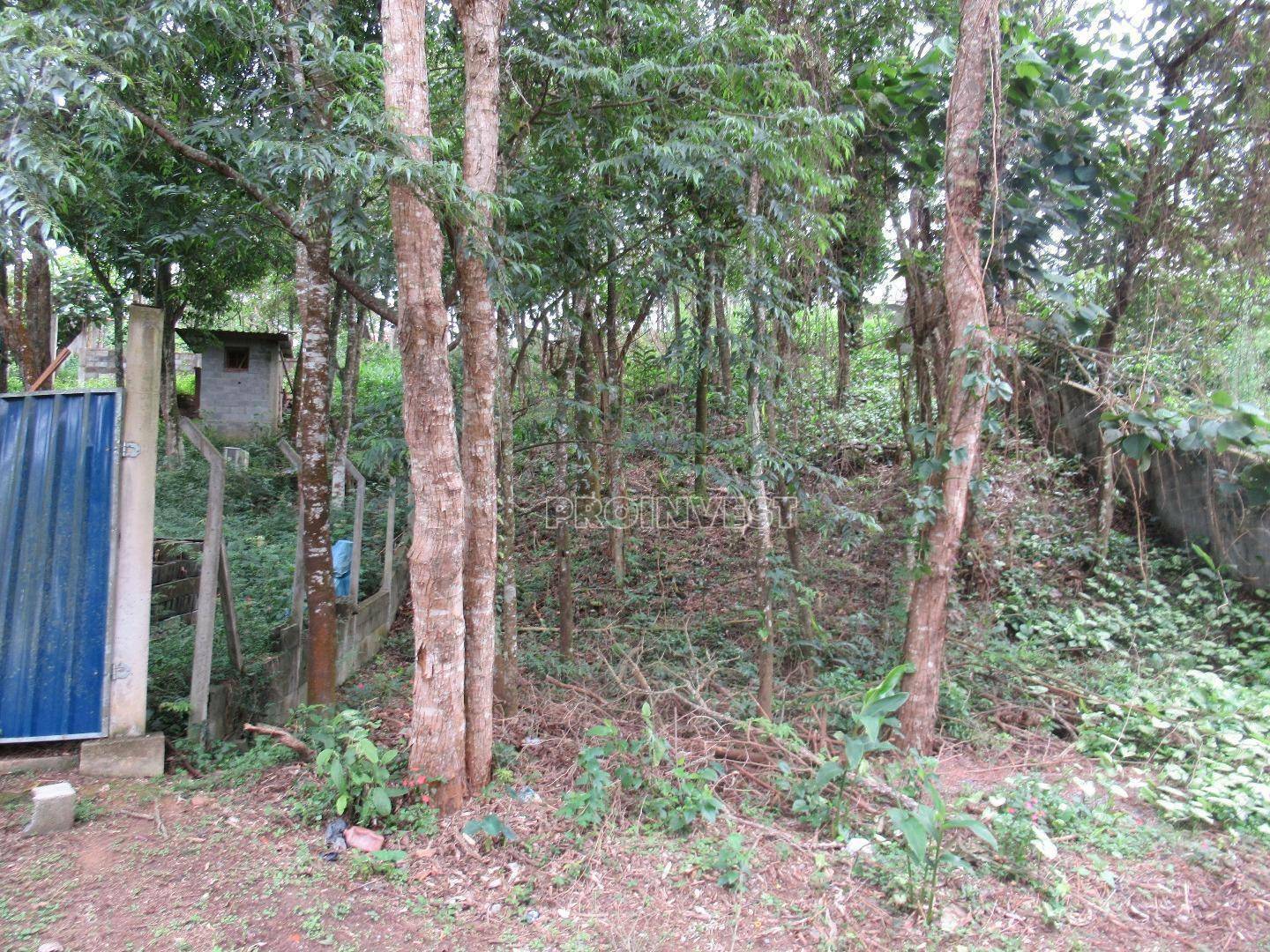 Loteamento e Condomínio à venda, 1004M2 - Foto 7