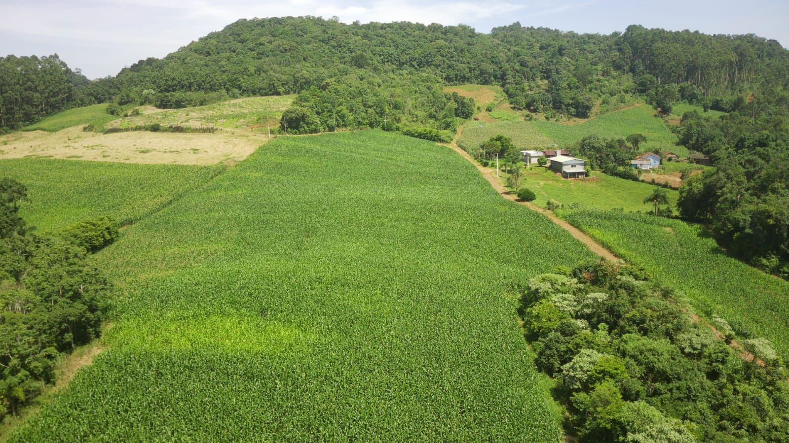 Loteamento e Condomínio à venda, 90000m² - Foto 7