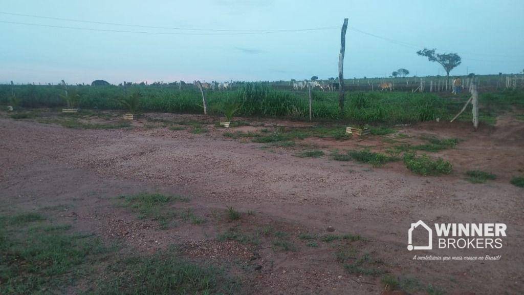 Fazenda, 930 hectares - Foto 2