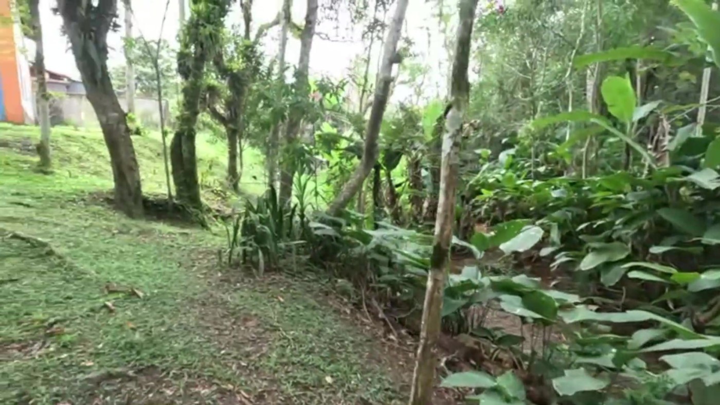 Casa de Condomínio à venda com 3 quartos, 1500m² - Foto 3