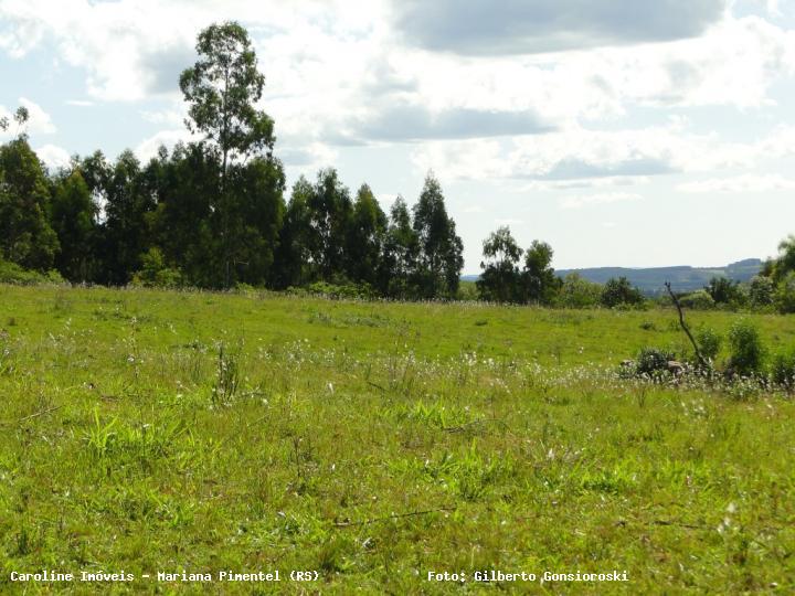 Fazenda à venda com 3 quartos, 160000m² - Foto 28