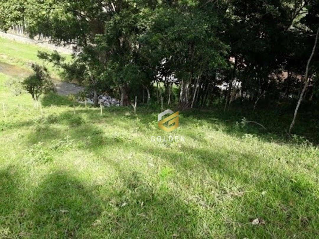 Sítio à venda com 5 quartos, 300m² - Foto 30