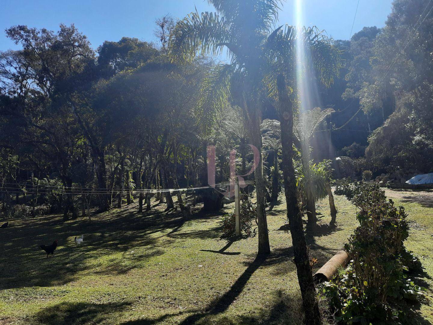 Terreno à venda, 7000M2 - Foto 8