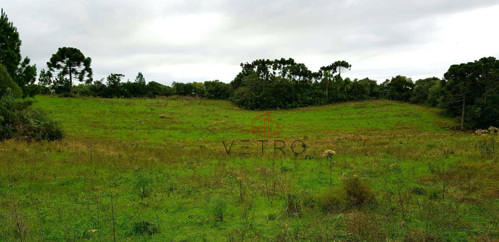 Sítio à venda, 400000M2 - Foto 2