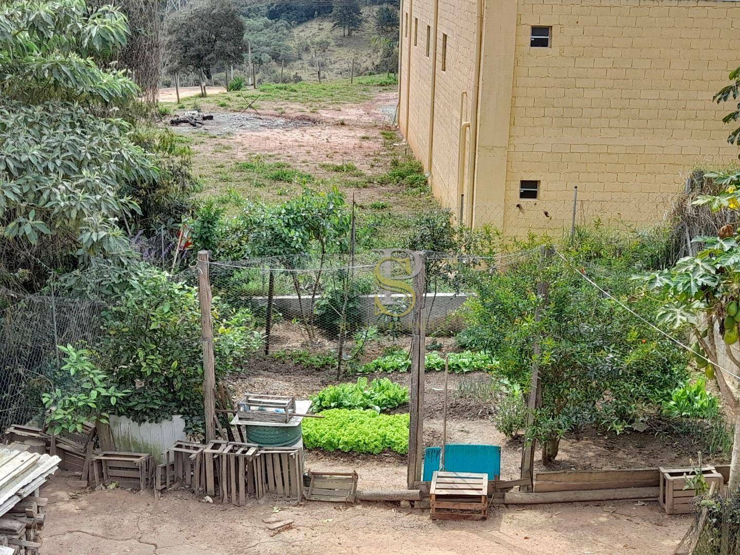 Chácara à venda com 4 quartos, 300m² - Foto 23