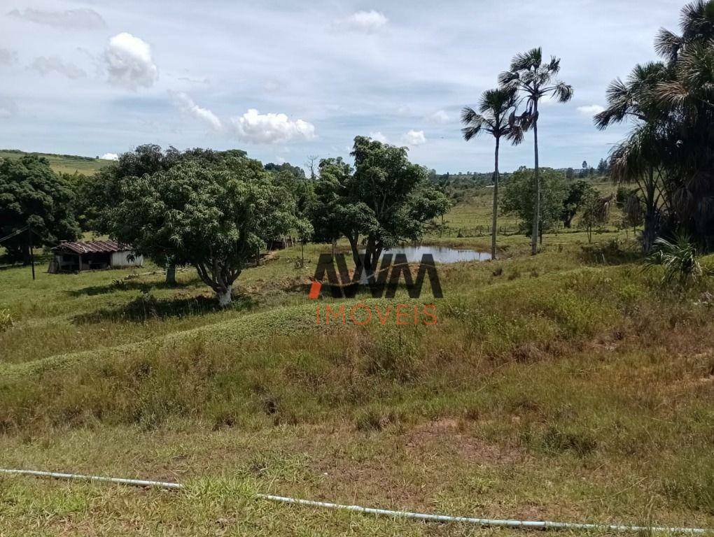 Fazenda à venda com 4 quartos, 820000M2 - Foto 18
