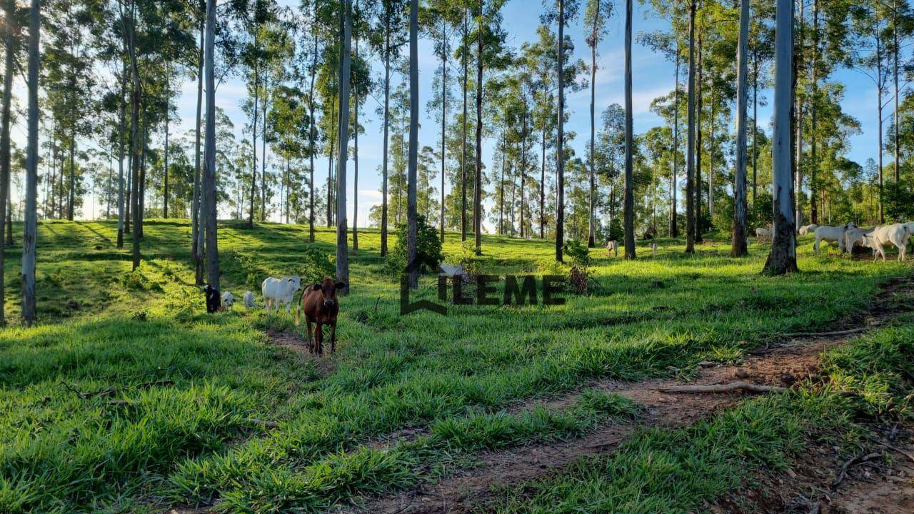 Fazenda à venda, 1258400M2 - Foto 12