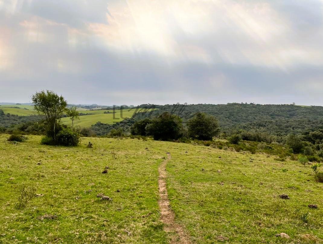 Fazenda à venda, 386m² - Foto 11