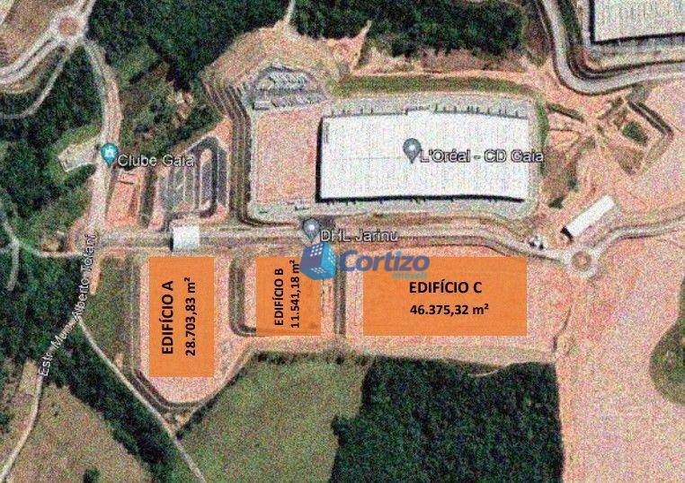 Depósito-Galpão-Armazém para alugar, 46375m² - Foto 4