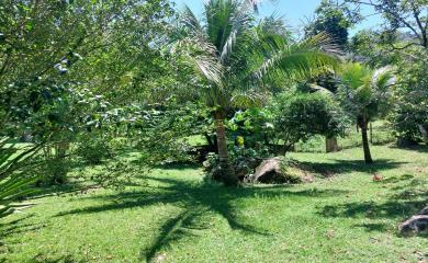 Fazenda à venda com 4 quartos, 96m² - Foto 32